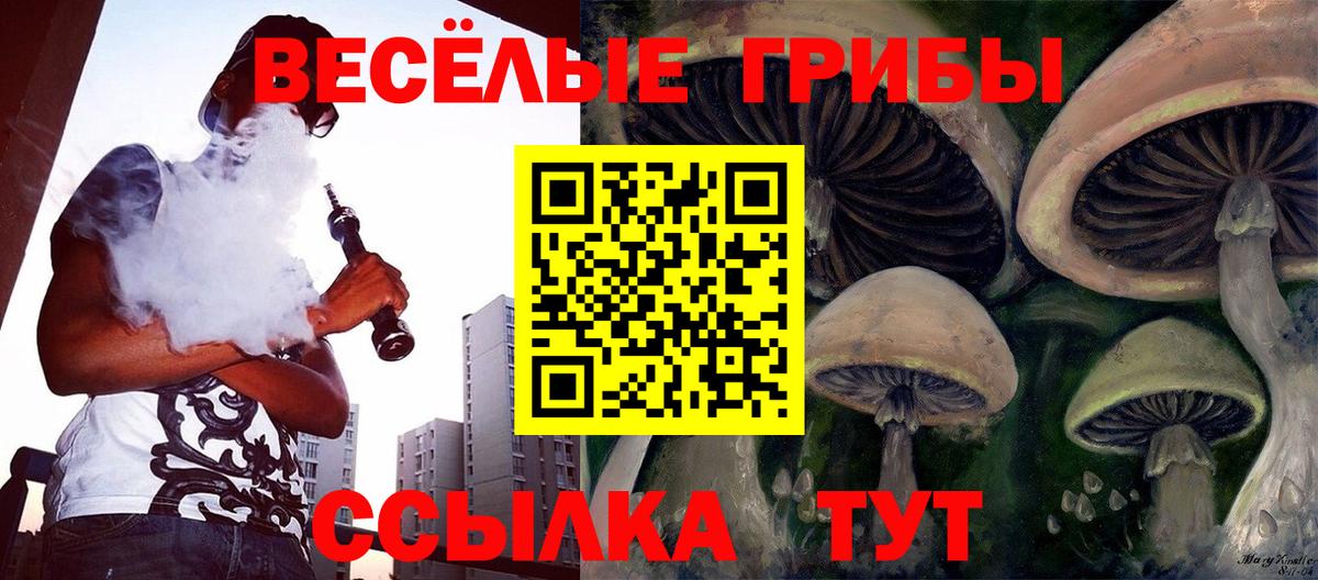 Белореченск  Псилоцибиновые грибы GOLDEN TEACHER  Галлюциногенные грибы Magic Shrooms  Вход с VPN 