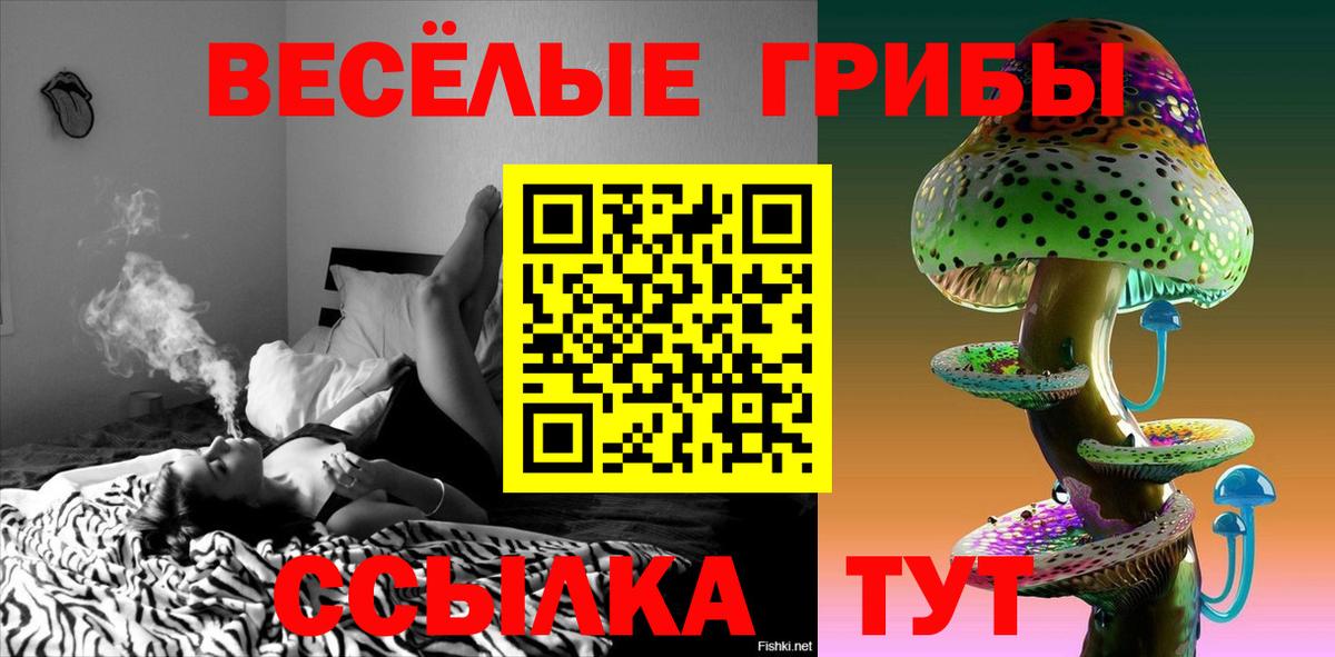 Псилоцибиновые грибы Psilocybine cubensis Белореченск